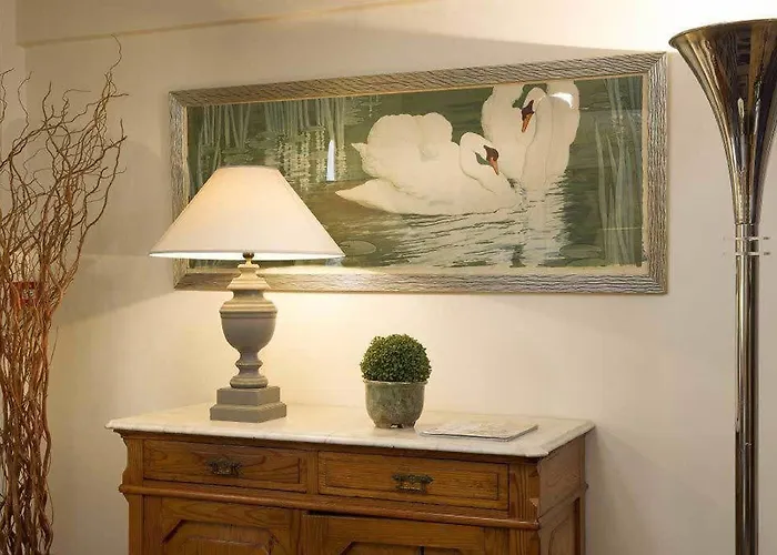 Du Cygne Hotel 2*